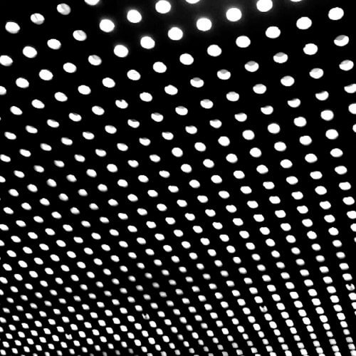 Beach House Bloom - 2012